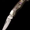Rough Rider Miniature Abalone Folder 70mm 2 Rough Rider Miniature Abalone Folder 70mm -Outdoor Gear Store RR175 10860.1614356624