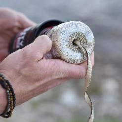 Rapid Rope Canister -Outdoor Gear Store RRPC6010det5 05809.1640877901