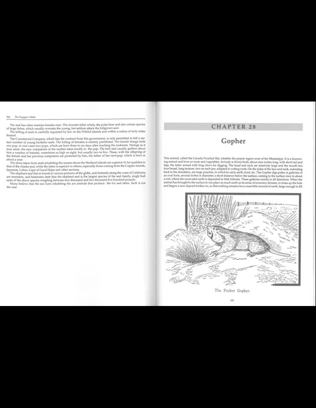 The Trapper's Bible 7 The Trapper's Bible - Image 5
